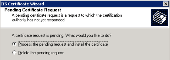 In the first window, you must select Process the pending request and install the certificate. Click <strong>Next</strong> to continue.