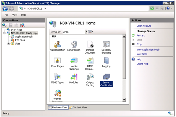 Select the appropriate server name. Then double click the icon <strong>Server Certificates</strong>.